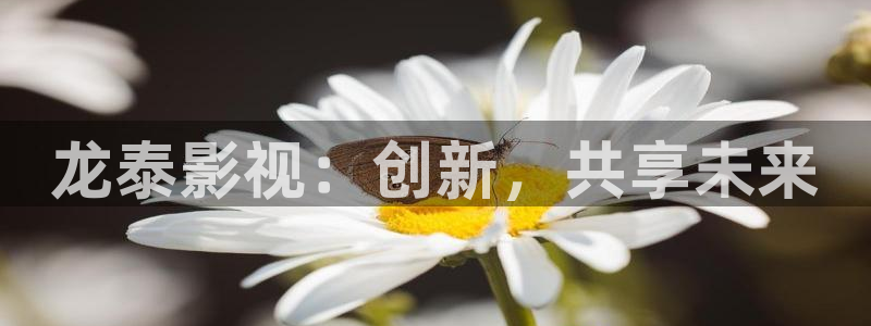 99嫩草影院：龙泰影视：创新，共享未来